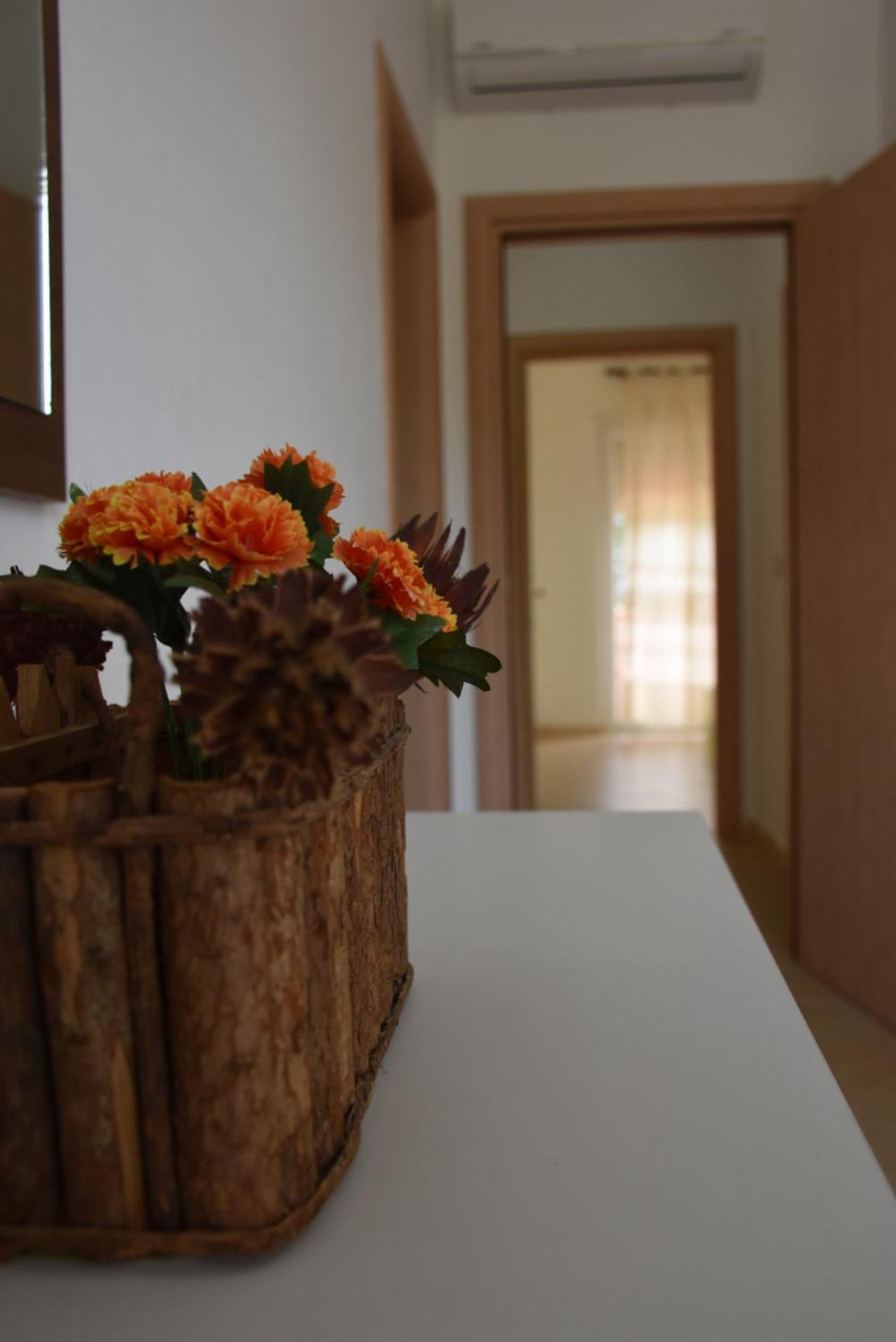 Leta's Apartments, Vacation